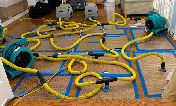 Professional Flood Damage Restoration technician working in Roy, WA
